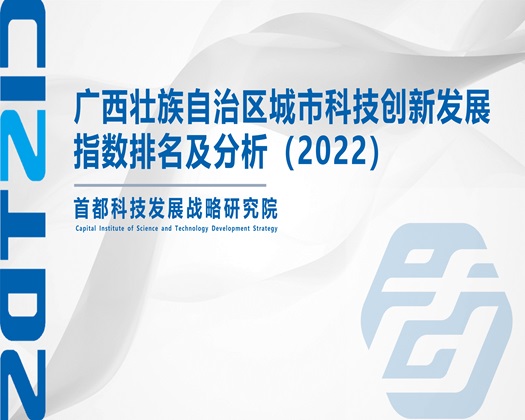 黑丝美女小穴被干【成果发布】广西壮族自治区城市科技创新发展指数排名及分析（2022）